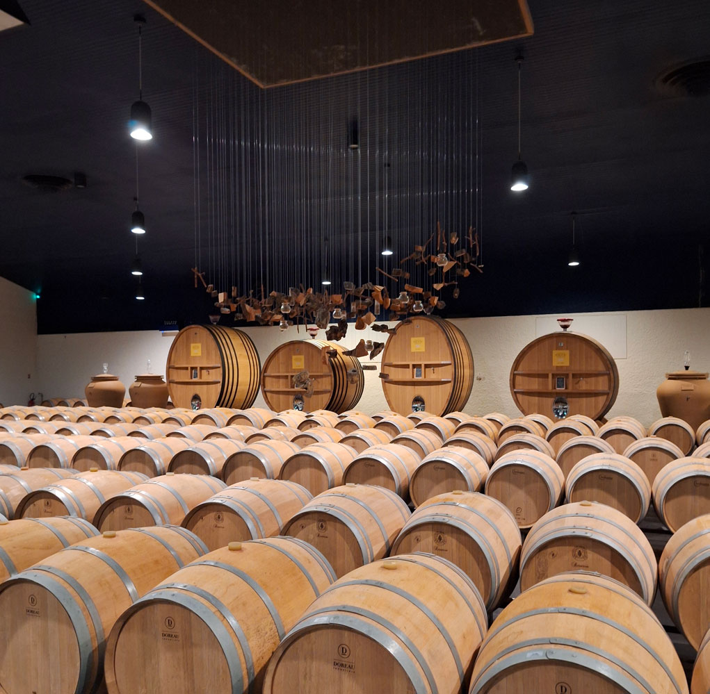 Wine Barrels in a Cellar of a Bordeaux Chateau