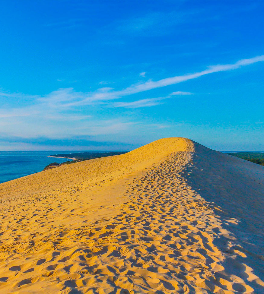 Arcachon Bay wine tour